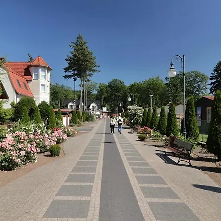 Z Widokiem Na Morze * Rewal